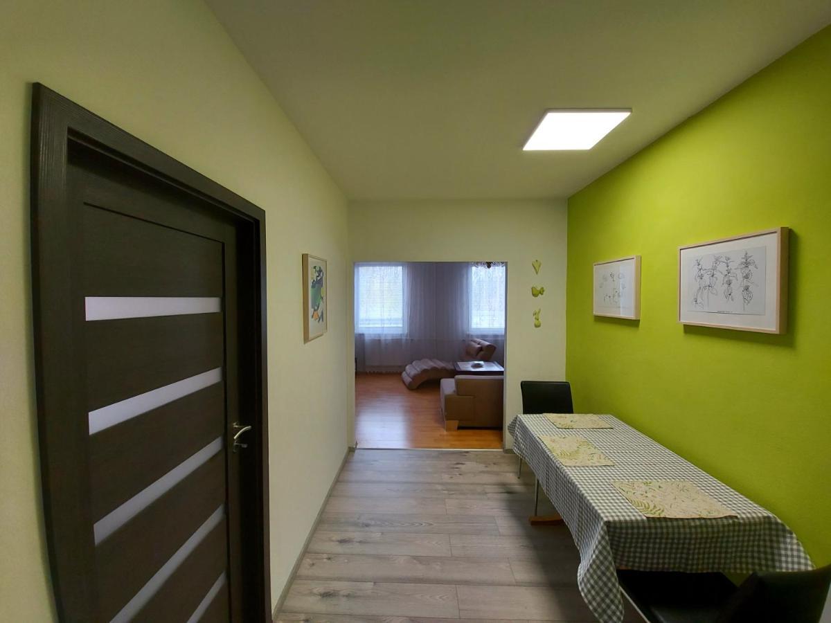 Apartman Eva - Plne Vybaveny Byt - Týn nad Vltavou Kültér fotó